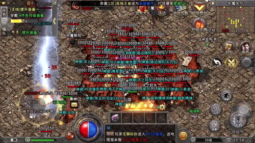 传奇宝象国boss坐标