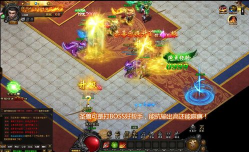 私服充值rmb脚本命令是多少
